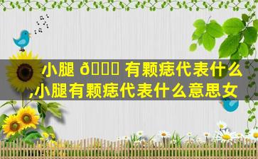 小腿 🐛 有颗痣代表什么,小腿有颗痣代表什么意思女